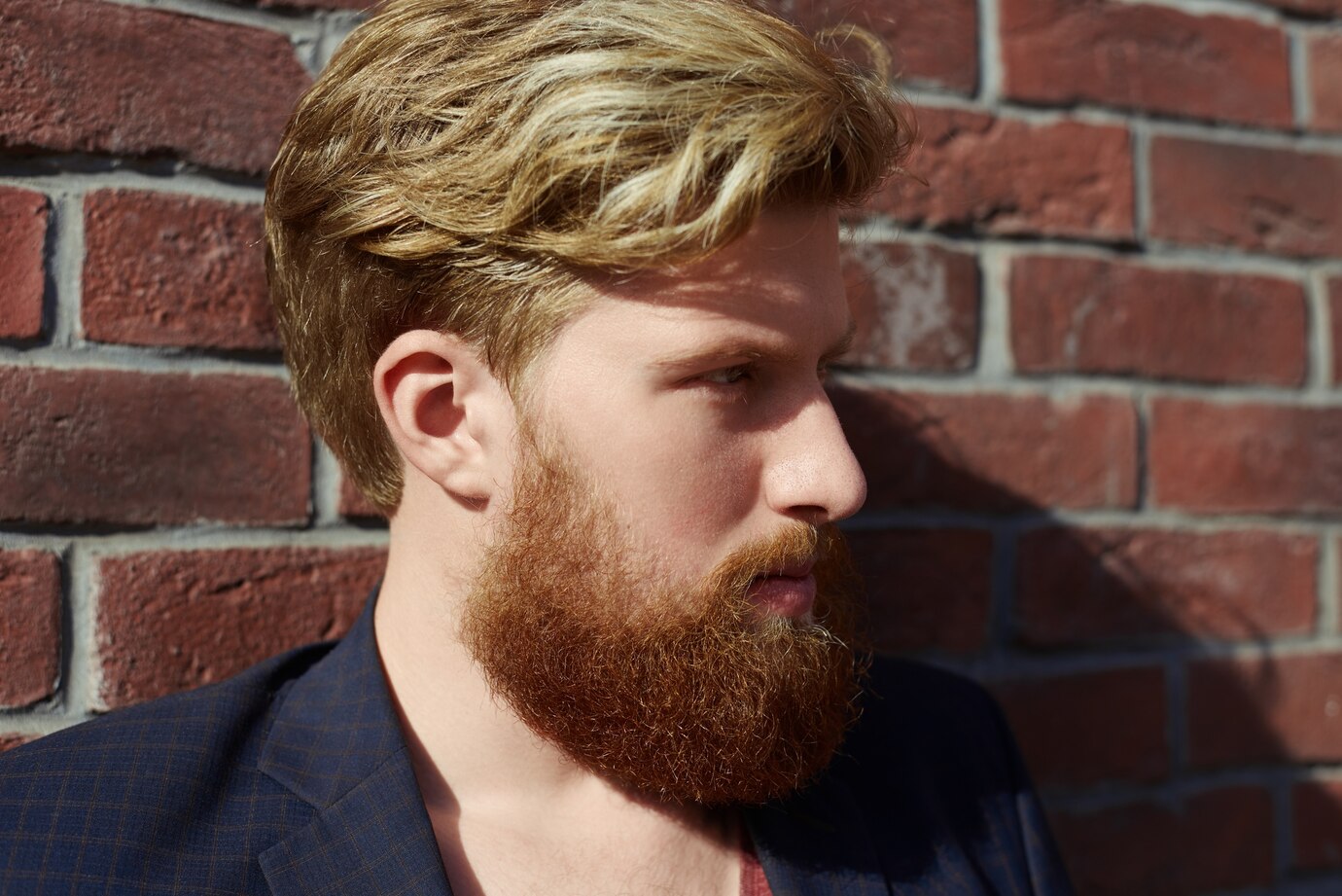 Advance Beard Colour Basic